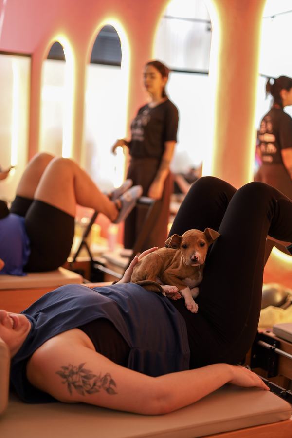 Projeto Maya - esporte e wellness em Campinas, SP (foto 30)